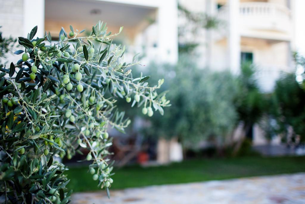 Apartments Villa Barbara Сумартин Екстериор снимка
